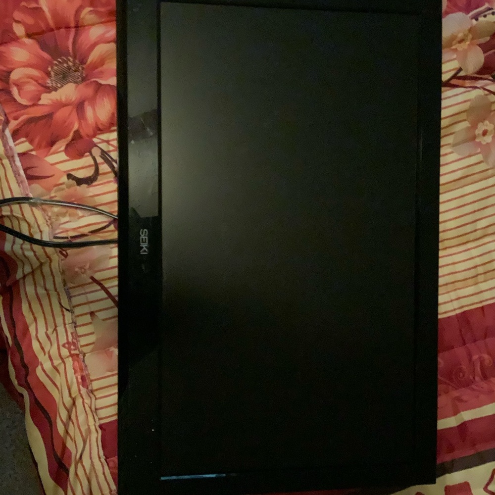 Seiki Flat Screen TV 22"